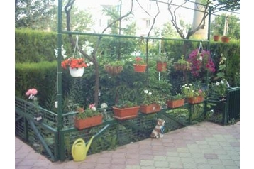 Rumunjska Privát Costineşti, Eksterijer